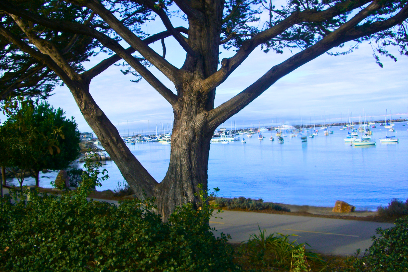 Nature Photography