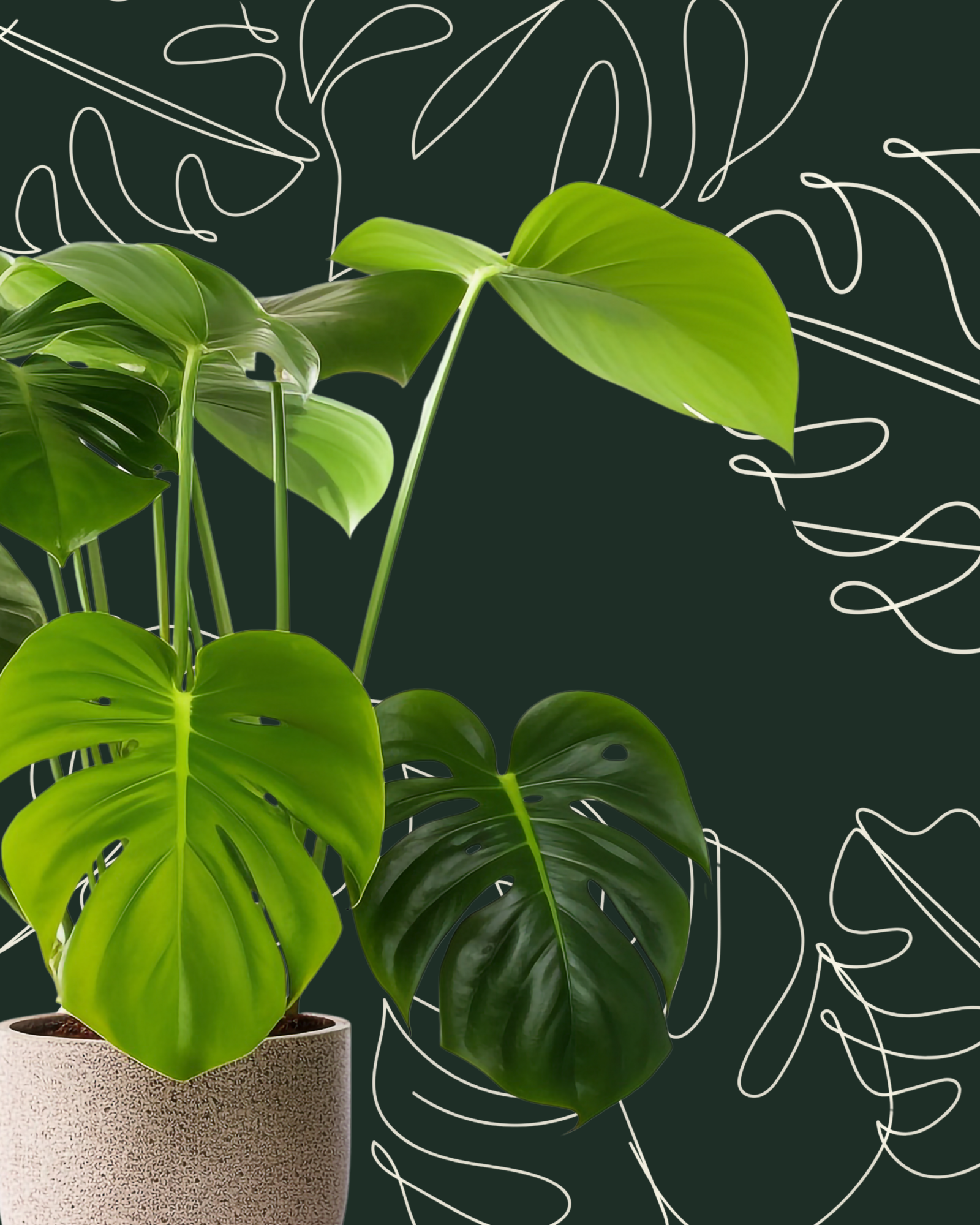 Greenery & Planting