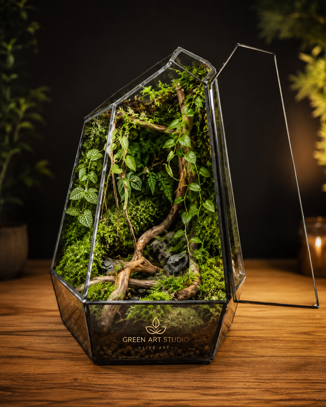 Terrarium